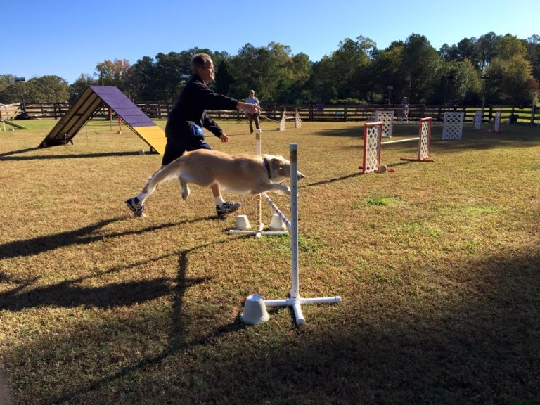 Name:  jump.jpg
Views: 749
Size:  156.8 KB