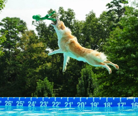 Name:  DockJump.JPG
Views: 709
Size:  72.2 KB