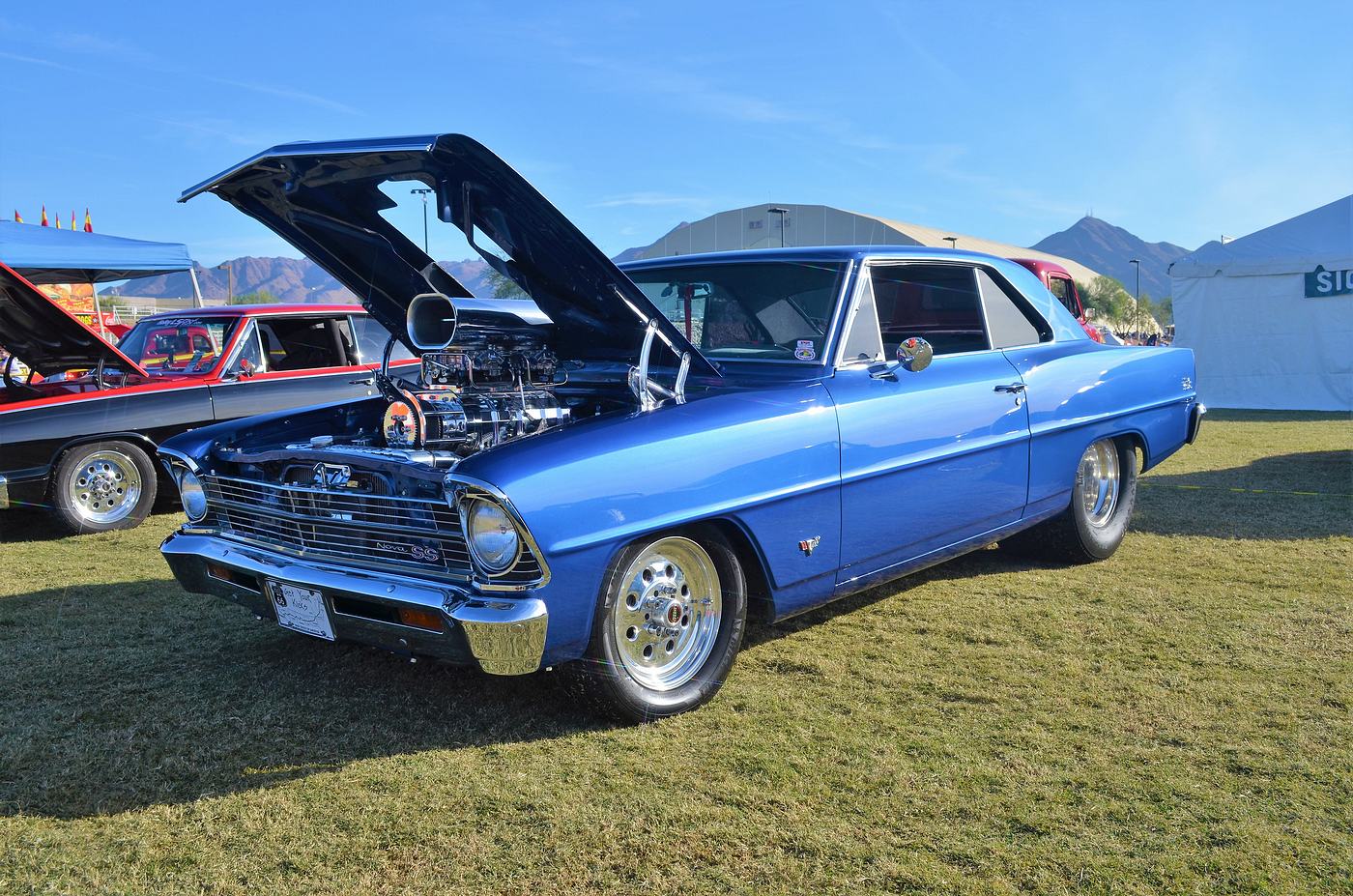 Name:  tn_DSC_0073.JPG
Views: 660
Size:  318.5 KB