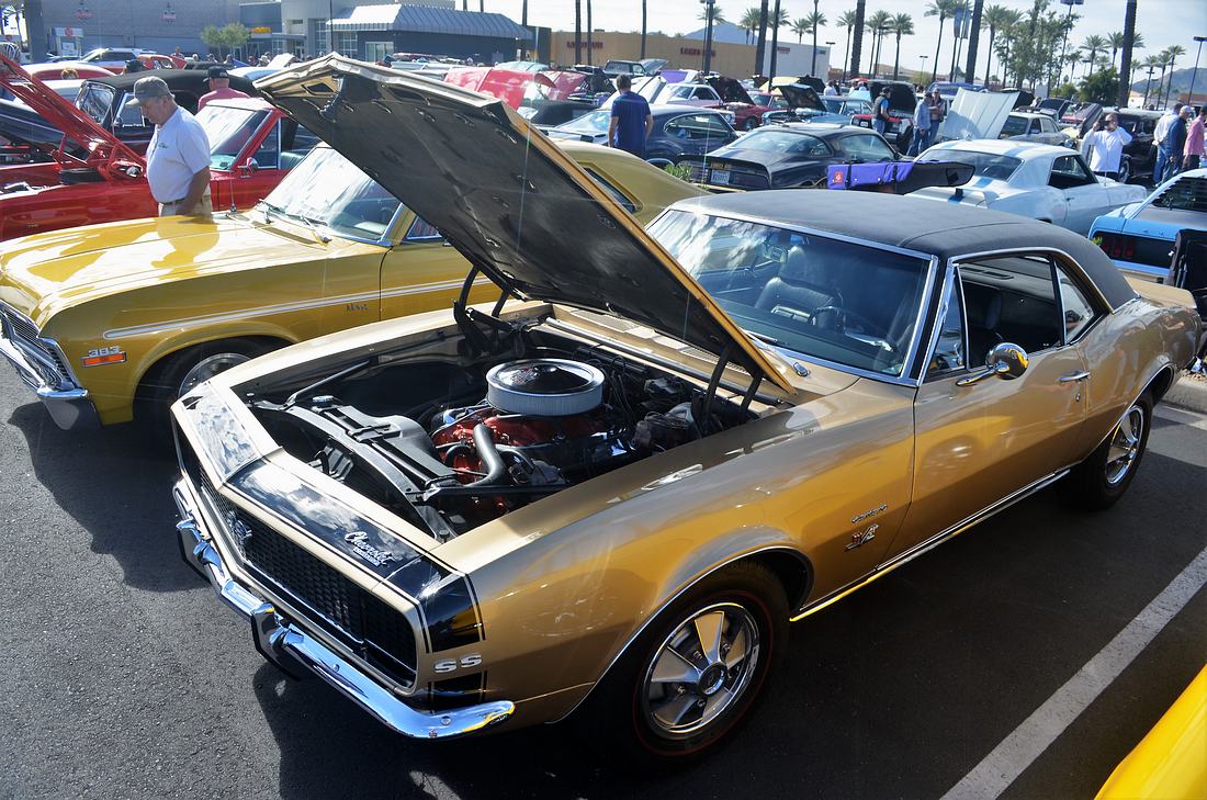 Name:  tn_DSC_0083.JPG
Views: 439
Size:  196.0 KB