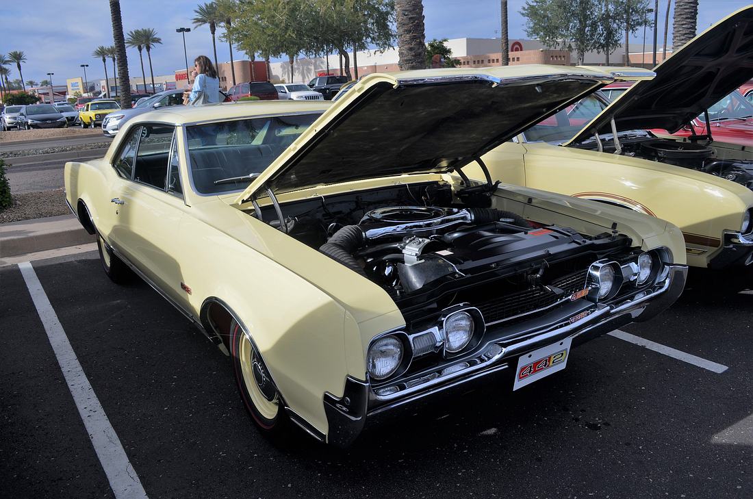 Name:  tn_DSC_0112.JPG
Views: 348
Size:  173.5 KB
