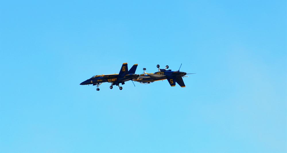 Name:  tn_DSC_0187.JPG
Views: 197
Size:  31.1 KB