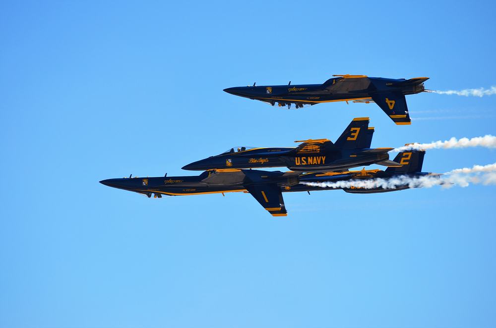 Name:  tn_DSC_0204.JPG
Views: 201
Size:  48.9 KB