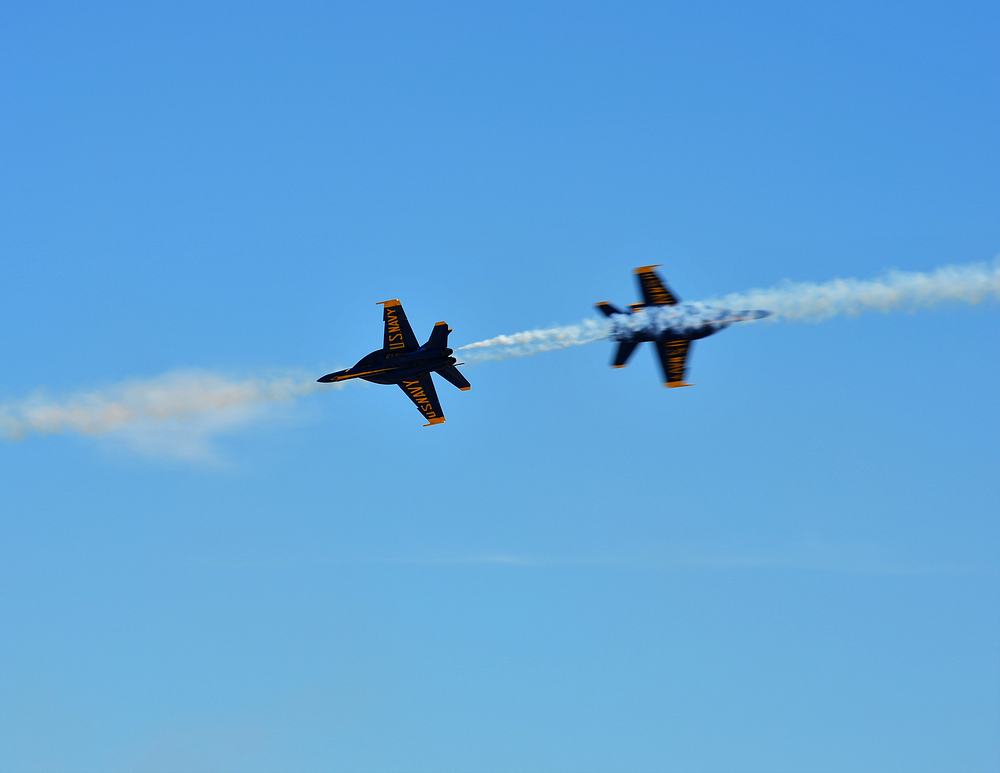 Name:  tn_DSC_0208.JPG
Views: 200
Size:  36.4 KB