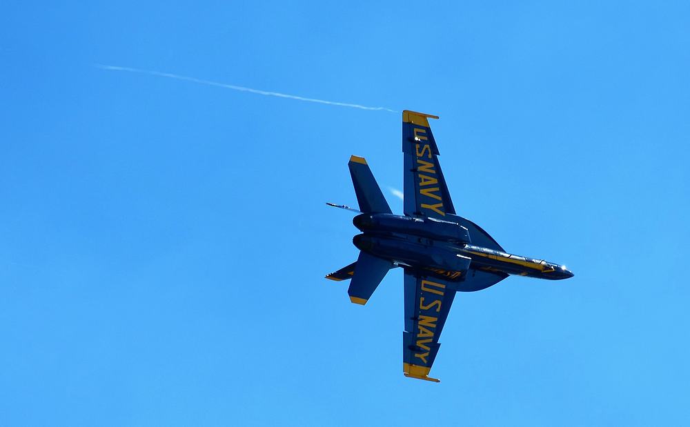 Name:  tn_DSC_0247.JPG
Views: 207
Size:  39.6 KB
