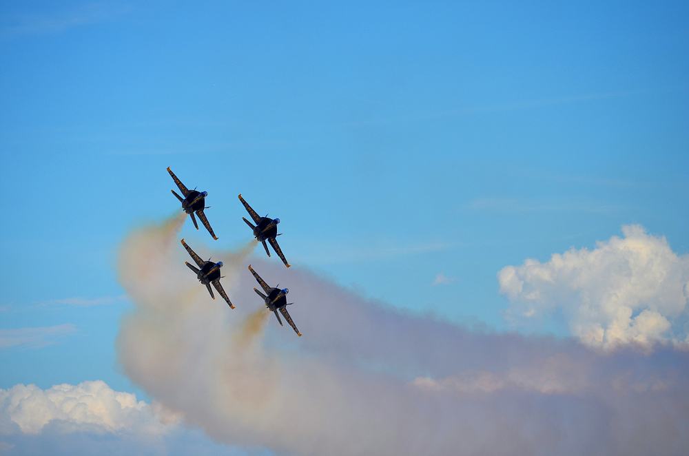 Name:  tn_DSC_0256.JPG
Views: 187
Size:  41.5 KB