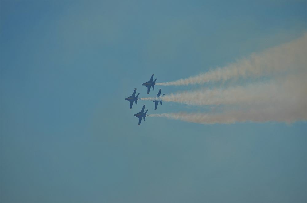 Name:  tn_DSC_0262.JPG
Views: 196
Size:  31.2 KB