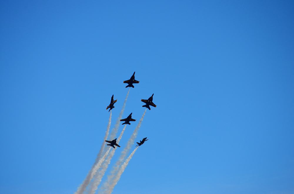 Name:  tn_DSC_0269.JPG
Views: 201
Size:  34.6 KB