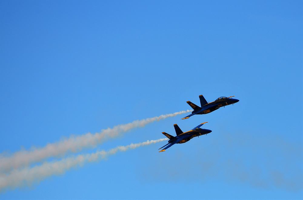 Name:  tn_DSC_0274.JPG
Views: 197
Size:  36.1 KB