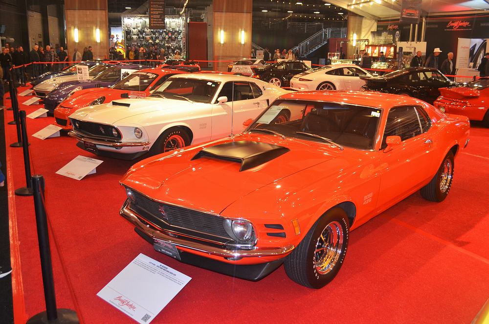 Name:  tn_DSC_0085.JPG
Views: 586
Size:  143.1 KB