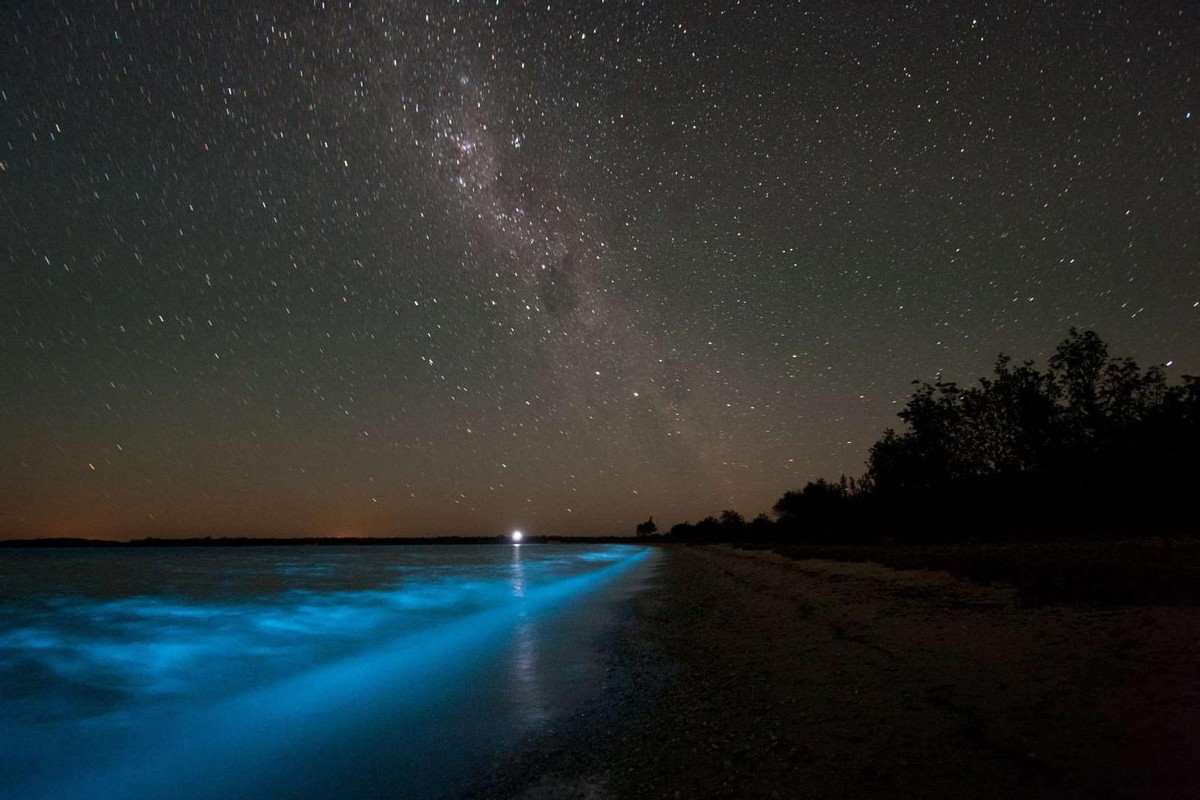 Звездное море существует. Остров Ваадху Мальдивы. Озеро Гипселенд Австралия. Озеро Джипсленд Австралия. Светящееся озеро Гипселенд в Австралии.