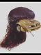 Burd's Avatar