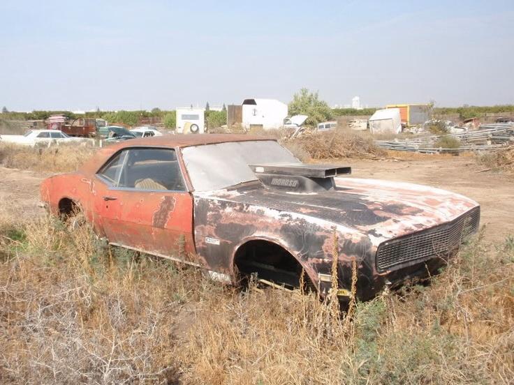 ROTTING MUSCLECARS | Other Muscle | The Supercar Registry Bulletin Board